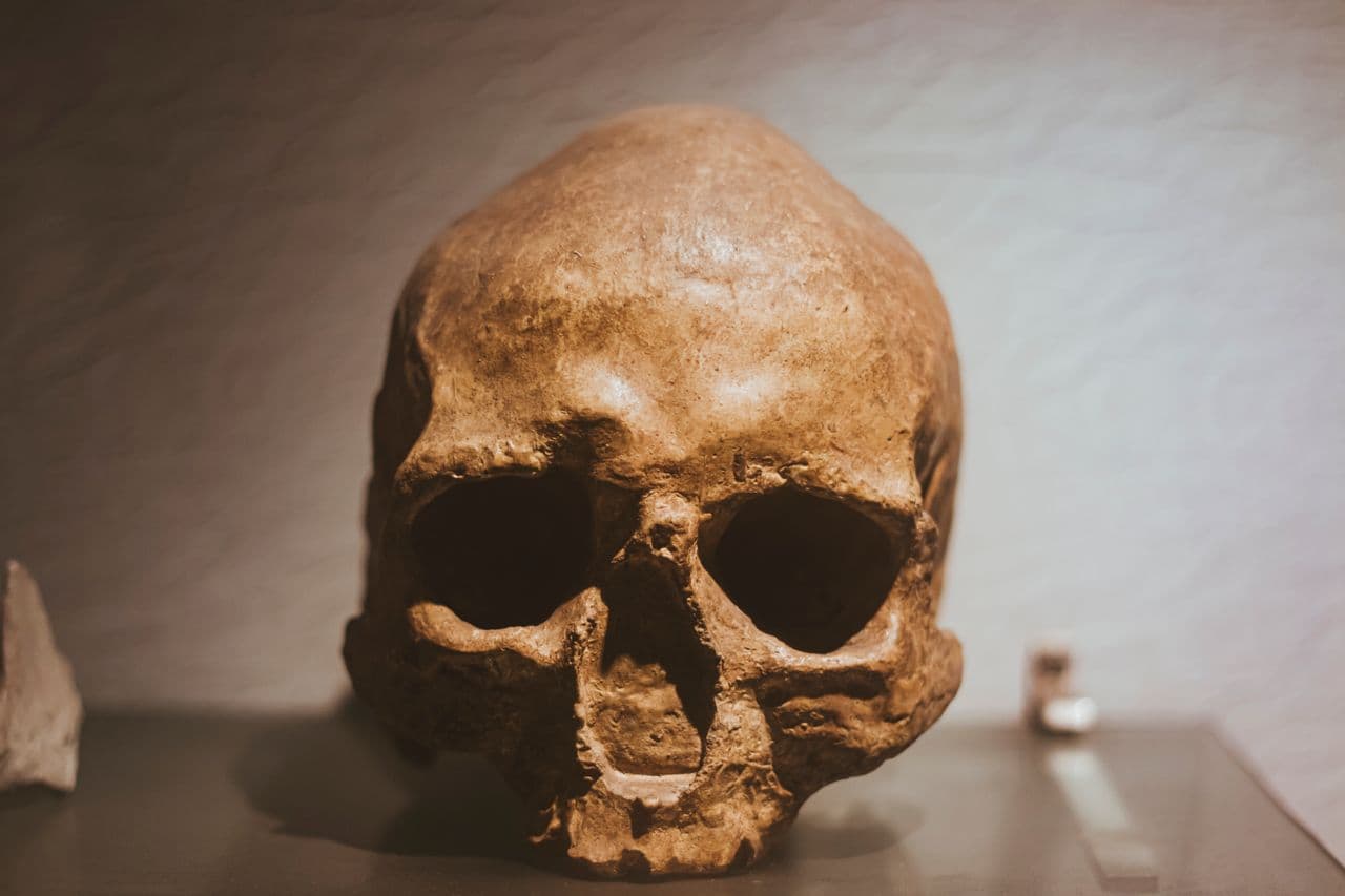 Site archéologique de Koobi Fora