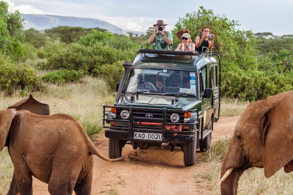Quoi mettre dans sa valise pour un safari au Kenya